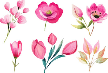 bouquet of pink tulips