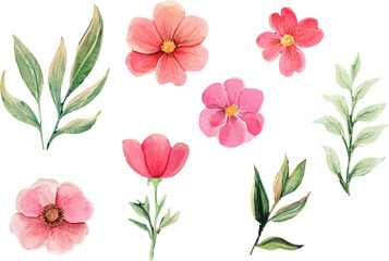set of pink flowers