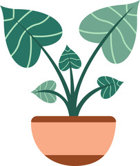 Aesthetic House Plant Decoration