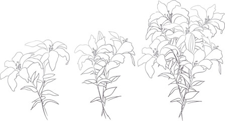  線画の草木イラスト。草木と花のベクター線画シンプルテンプレート。Line drawing grass and trees illustration. Vector line drawing simple template of plants, trees and flowers.