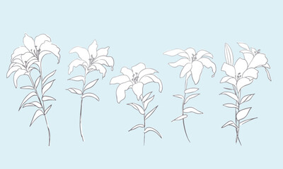 線画の草木イラスト。草木と花のベクター線画シンプルテンプレート。Line drawing grass and trees illustration. Vector line drawing simple template of plants, trees and flowers.