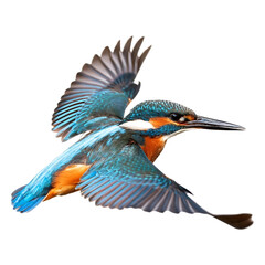 High-resolution photo of a kingfisher bird mid-flight, isolated on transparent background