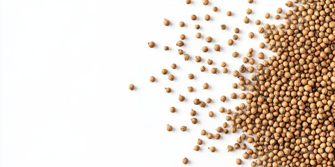 Top view of coriander seeds displayed on a white background, showcasing the unique texture and appearance of coriander seeds for culinary and decorative purposes.