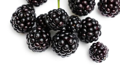 blackberry on white background