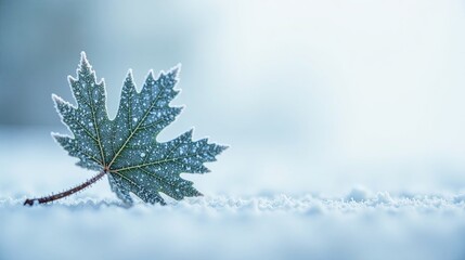 Obraz premium A single frost-covered leaf rests gently on a pristine blanket of snow, a serene winter scene of delicate beauty and quiet solitude