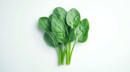 spinach. spinach on white background