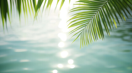 Lush green palm leaves gently frame tranquil waters during a bright sunny day