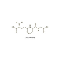Glutathione flat skeletal molecular structure antioxidant drug used in antineoplastic neurotoxicity treatment. Vector illustration scientific diagram.
