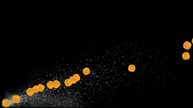 video particle graphics resources