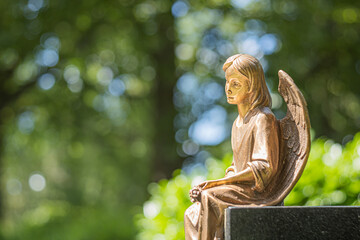 angel in park