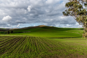 Beautiful landscape view from the north of Tunisia