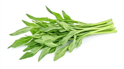 Fototapeta premium water spinach on white background. water spinach