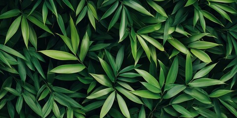 Fototapeta premium Tropical bamboo leaves create a vibrant and lush background, adding a natural touch to any design. The tropical bamboo leaves provide a serene atmosphere ideal for various creative projects.