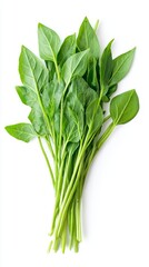 Obraz premium water spinach. water spinach on white background