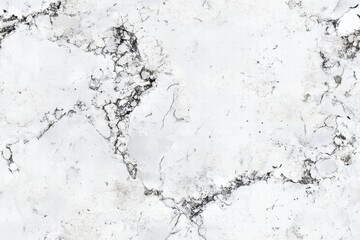 Fototapeta premium Seamless textured marble surface featuring a mix of white and gray tones with intricate veining patterns.