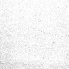 Crumpled Paper Texture 