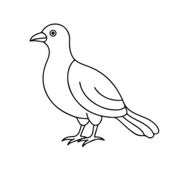 bird line art silhouette vector image