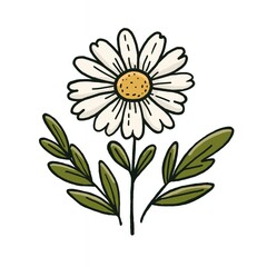 flower isolated on white background