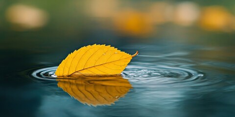 Obraz premium A yellow leaf is fully immersed in water, with a distinct droplet perched on it, highlighting the contrast between the leaf and the water surrounding it.