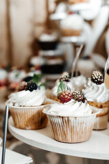 cupcakes placed on a white stand. The cupcakes are decorated with white frosting and a variety of berries such as blackberries and raspberries, as well as fruit pieces and green leaves.