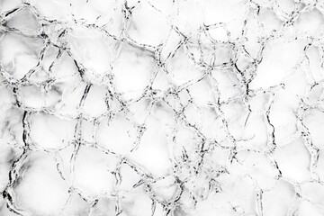 Obraz premium A close-up shot of a textured marble surface in black and white