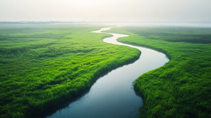 Fototapeta premium tranquil landscape with winding river flowing through green fields soft morning light gentle fog in distance minimalistic
