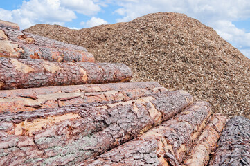 The photo shows a close-up of round wooden logs, with a pile of wood chips and a blue sky in the...