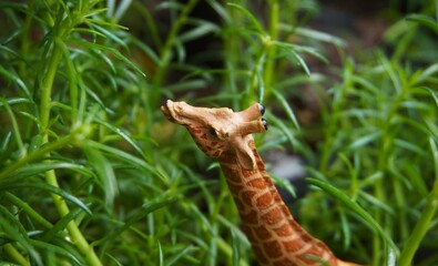giraffe toy photographed close up to its head. looks cute and unique with nature set, green plants