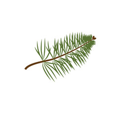 Hand drawn fir tree twig, branch, spruce, Christmas decoration element, sketch style vector illustration on white background. Single fir tree twig, branch, hand drawn sketch style illustration