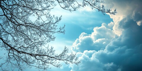 Cloudy blue sky featuring branches against a backdrop of dramatic cloud formations creates an engaging scene of nature. The branches contrast beautifully with the cloudy blue sky.