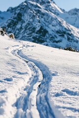 A person skiing down a snowy slope with trees and mountains in the background
