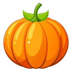 pumpkin isolated on white background