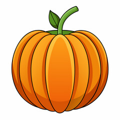 pumpkin isolated on white background