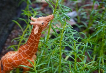 photo of toy giraffe in the bushes with green plants, in the photo it looks like it is real in the wild