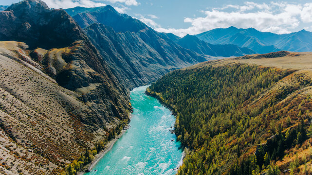 Stunning aerial view capturing the turquoise katun river meandering through the vibrant autumn forests and dramatic valleys of the altai mountains in siberia, russia