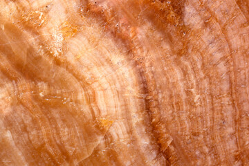 Dirty old stone stripes texture background