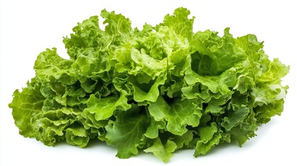 lettuce. lettuce on white background