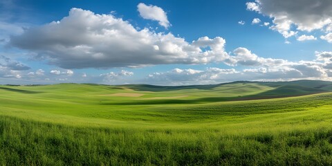 Obraz premium A green, grassy field under the blue sky with white cloud, a large grain farm in view