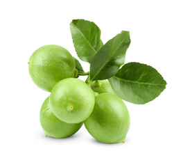 lemon photography on a white background with clipping paths