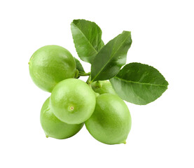 lemon photography on transparent png