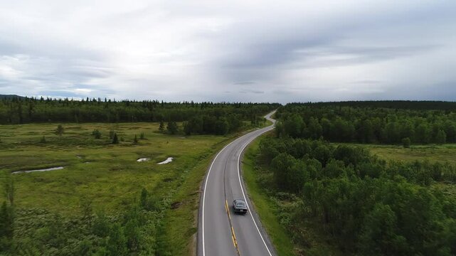 Veteran car driving a winding country road through lush green landscapes, bordered by dense forest and open meadows.