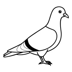 illustration of a dove