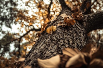 A close-up shot of a tree branch with lush green leaves