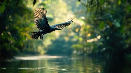 Obraz premium A Rare Bird Mid-Dive Over a Jungle River, Captured in Motion With Its Wings Outstretched