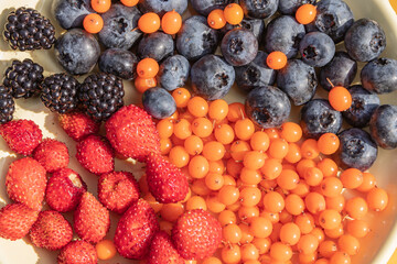 Mixed various berries collected on the plot, assorted berries of blackberries, strawberries, blueberries, sea buckthorn. Colorful and healthy concept. Black, blue, red, green. close up