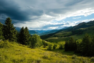 A serene valley scene with lush green trees and mountains in the background, perfect for use in nature-inspired designs