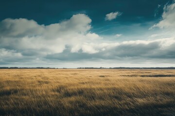 A serene landscape featuring a field of tall grass beneath a cloudy sky, perfect for use in backgrounds or outdoor scenes