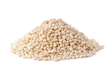 Fototapeta premium barley