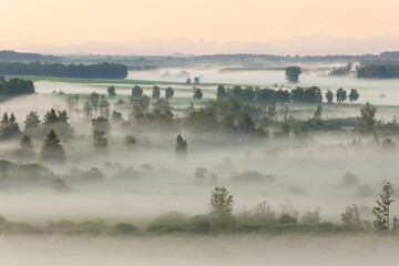 View to the Alps at Pfrunger Ried, moor in Upper Swabia near Wilhelmsdorf, southern Germany,...