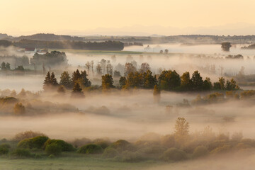 View to the Alps at Pfrunger Ried, moor in Upper Swabia near Wilhelmsdorf, southern Germany, sunrise, fog	